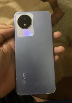 vivo