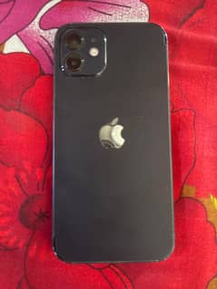 Apple iPhone 12