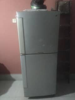 PEL Full size fridge