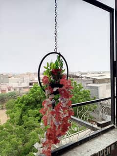 hanging