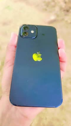 iphone 12 64GB [JV]