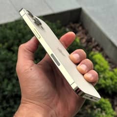 iPhone 12 Pro Max factory unlock