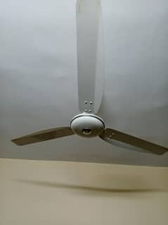 ceiling