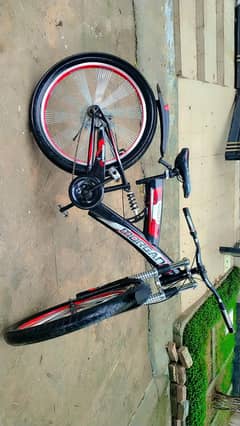 Morgan cycle with two shockers in good condition