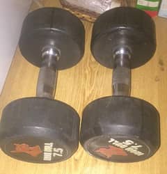Commercial iron bull dumbbells 7.5 kg pair