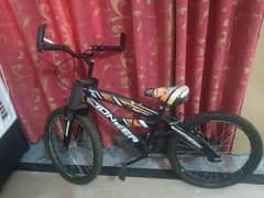 pioneer cycle