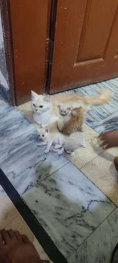 triple