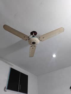Ceiling fan