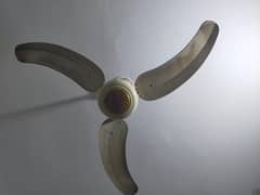 Ceiling