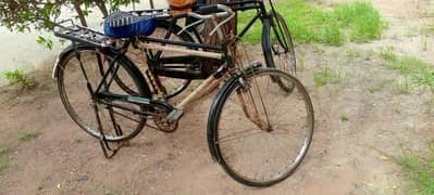 cycle 24 number