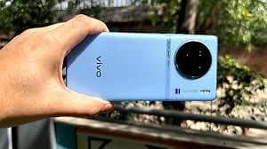 vivo