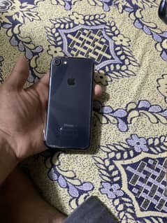 Iphone 7 pta approved
