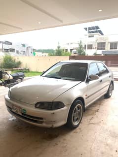 Honda Civic Dolphin