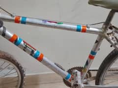 Bicycle for sale