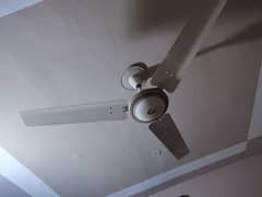 Royal Fan size 56 inch