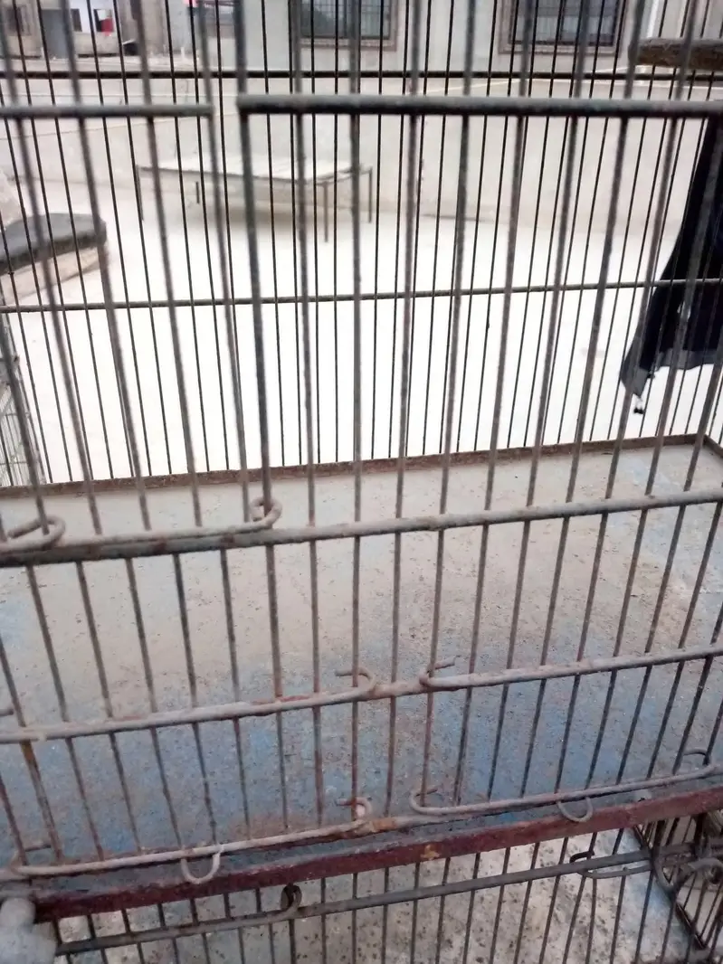 Cages
