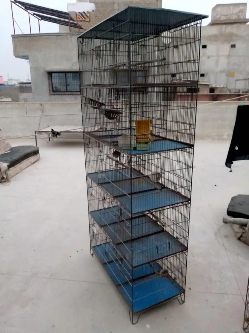 Cages — photo 4