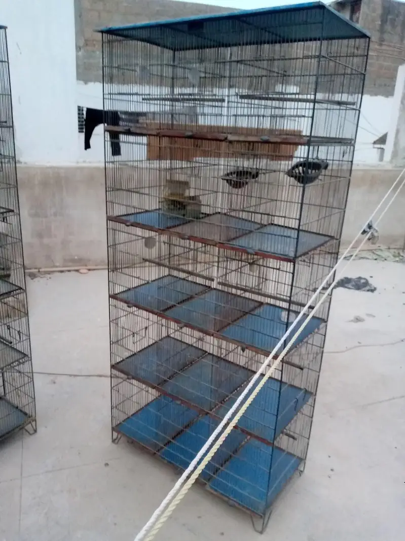 Cages — photo 5