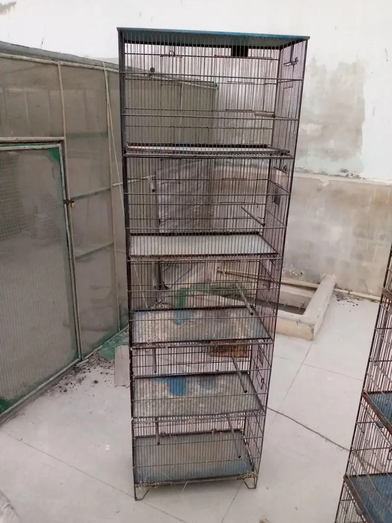 Cages — photo 6