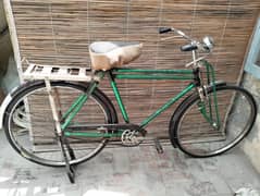 Sohrab eagle cycle 22 inch