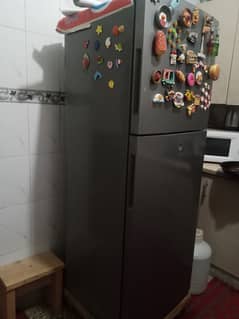 haier medium size 2 door fridge