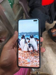 vivo v19