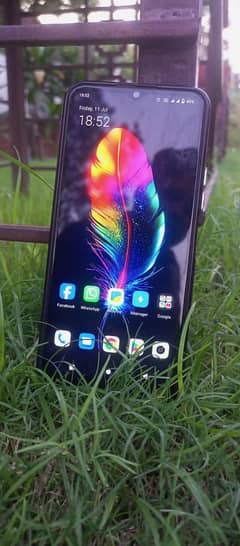 vivo