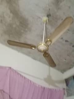 Ceiling Fan For Sale