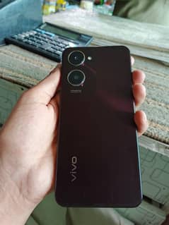 vivo