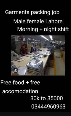 Job Available Garments packing job male job female job