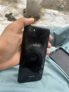 Vivo