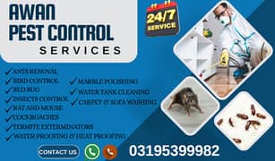 Pest control, Deemak Control, Spray Fumigation, Termite, Dengue Spary