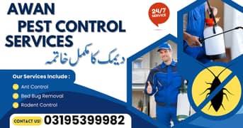 Termite Control - Fumigtion Services | Pest Control Services | Dengue