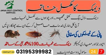 mosquito