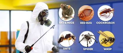 Termite Control/deemak control/Pest control service/Mosquitoes spray