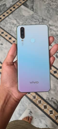 Vivo