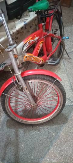 bicycle for sale only olx chat