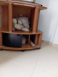 TV