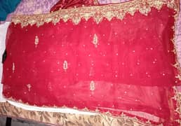 Red Lehnga crinkle chiffon