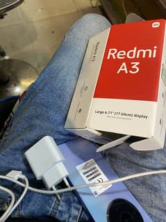 A3