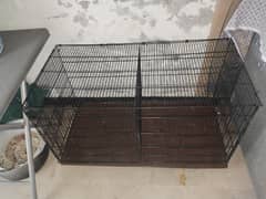 Parrot cages