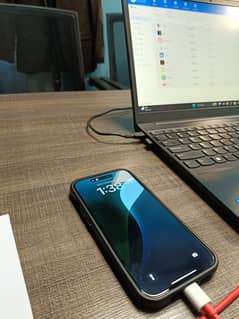 iPhone
