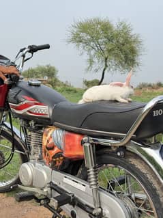 Honda 125 with double saman