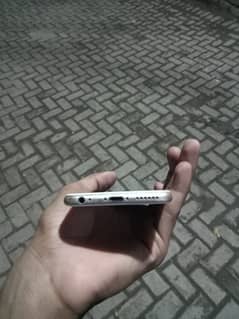 03153852751