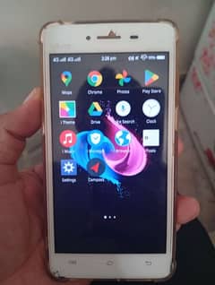 Vivo