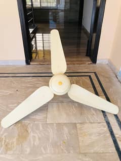 Ceiling fan SK brand