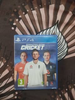 cricket 19