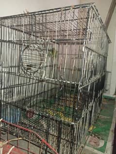 best normal size cage for parrots