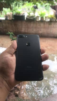 7plus