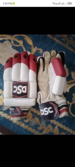 DSC batting gloves